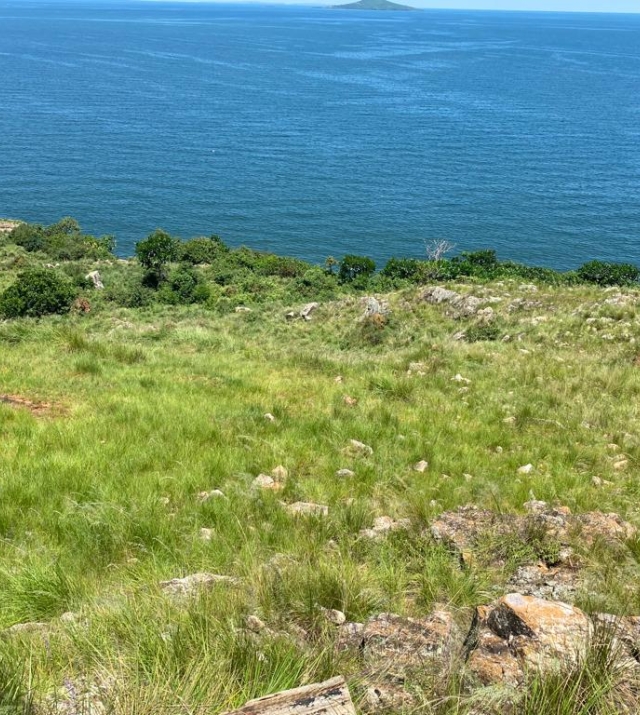 WhatsApp Image 2024-07-15 at 4.02.06 PM 1.jpeg